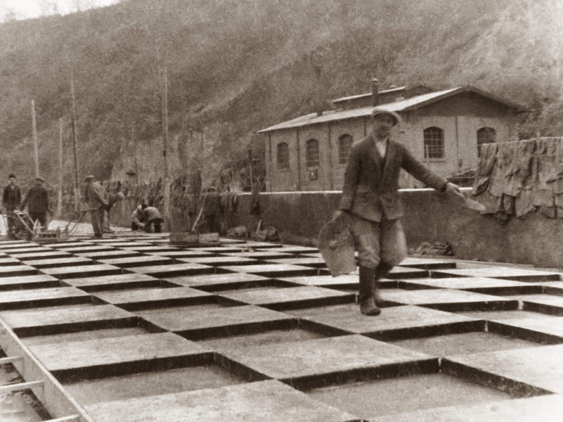 istorija1 istorija1